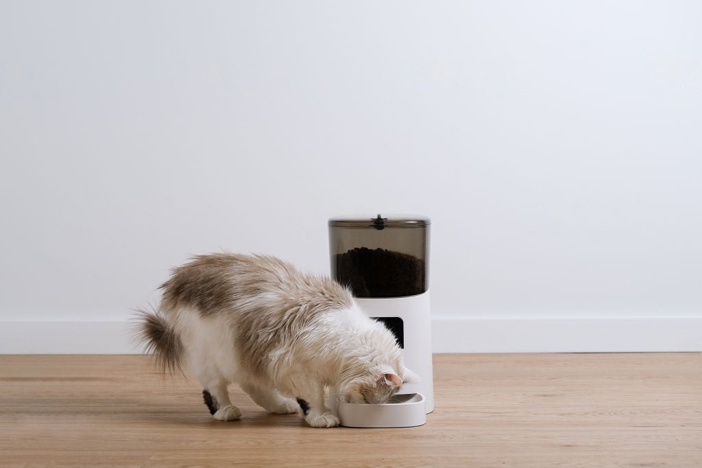 About Automatic Pet Feeders